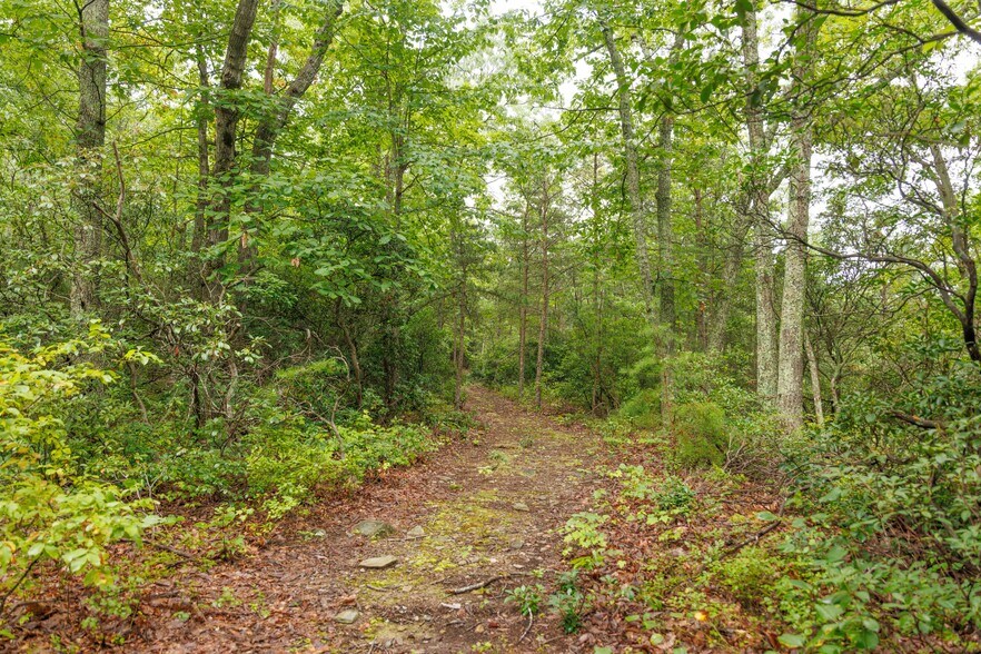 4680 Shiloh Mountain Trl, Schuyler, VA à vendre - Photo de l’immeuble – Image 3 sur 63