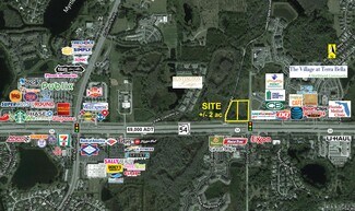 Plus de détails pour 54 Sr, Land O' Lakes, FL - Terrain à vendre