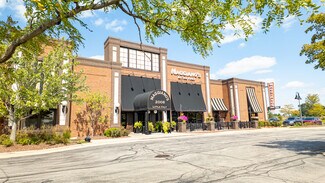 Plus de détails pour 1847 Freedom Dr, Naperville, IL - Local commercial à vendre