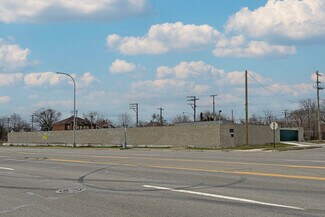 Plus de détails pour 8503 Livernois Ave, Detroit, MI - Terrain à vendre
