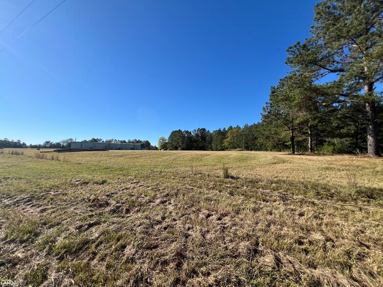 0 Tallahassee Highway, Attapulgus, GA à vendre - Autre – Image 3 sur 10