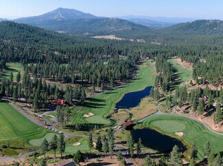 Plus de détails pour 4375 Grizzly Rd, Portola, CA - Terrain à vendre