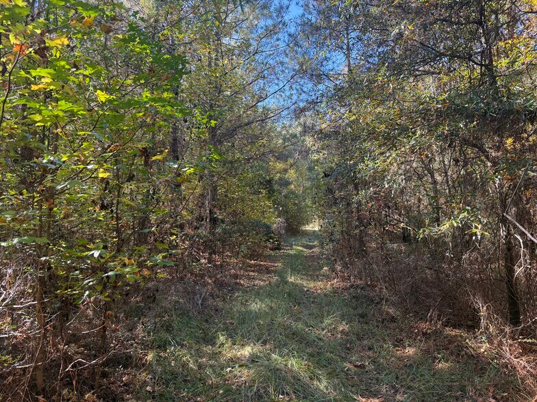 793 Puncheon Creek Dr, Andrews, SC à vendre - Photo de l’immeuble – Image 3 sur 12