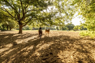 Plus de détails pour 4515 Jackson Rd, Colleyville, TX - Terrain à vendre