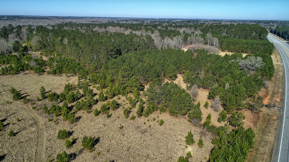 Lot 7 Hwy 74 S, Senoia, GA à vendre - Aérien – Image 3 sur 11