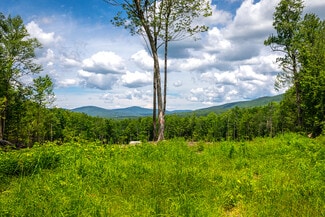 Plus de détails pour 0 Little Pond Road, Andover, VT - Terrain à vendre