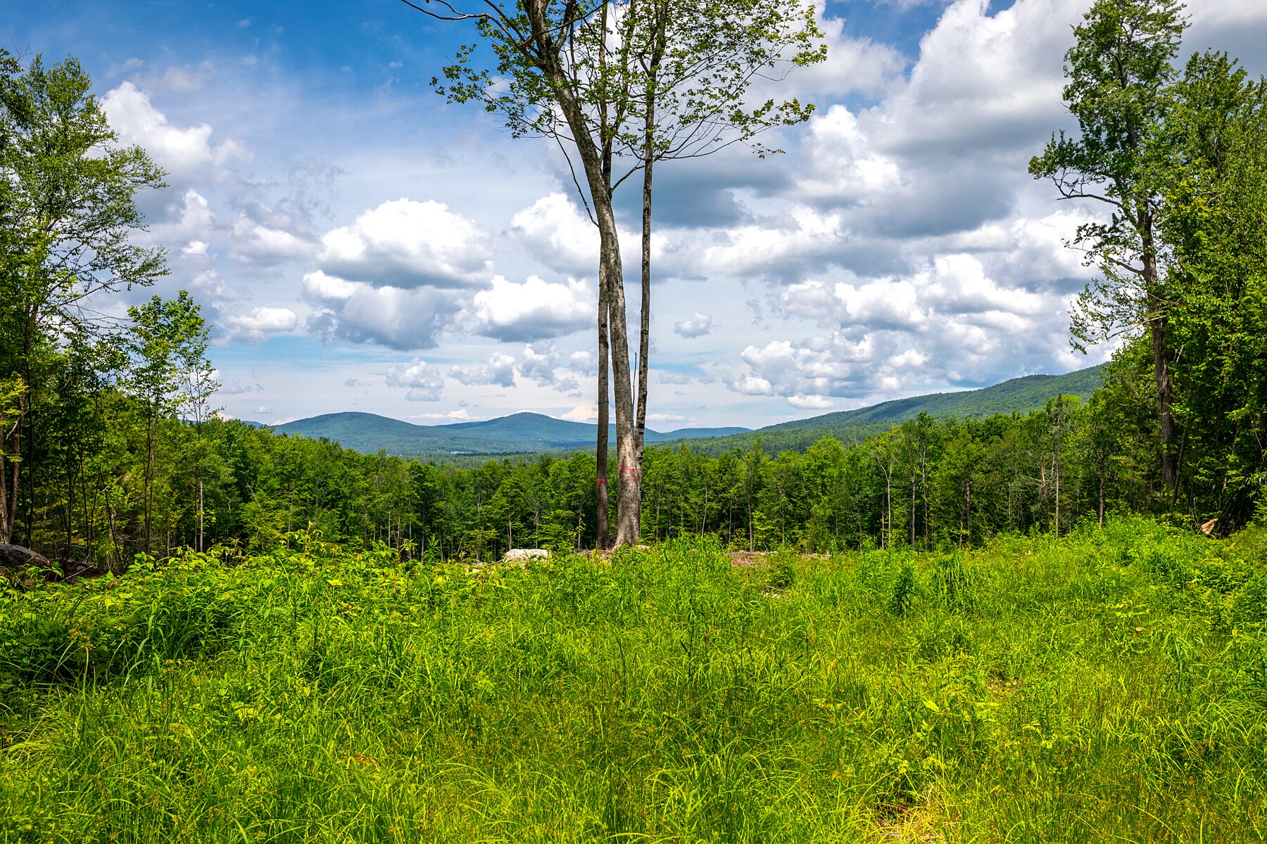 0 Little Pond Road, Andover, VT à vendre Autre– Image 1 sur 12