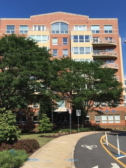250 W Main St, Charlottesville, VA à louer - Photo de l’immeuble – Image 3 sur 4