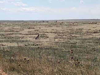 Plus de détails pour 0 WCR 85 Rd, Briggsdale, CO - Terrain à vendre