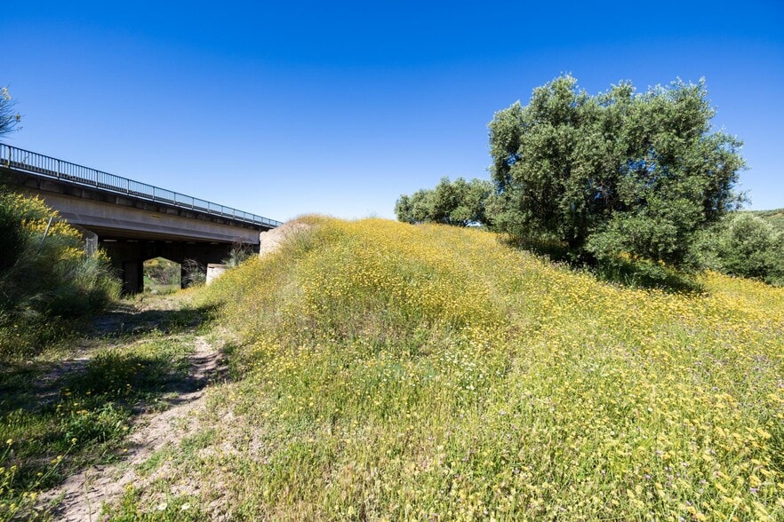 a, 92, Alfacar, Granada à vendre - Photo principale – Image 1 sur 22