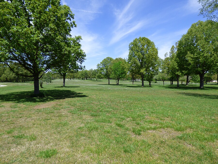 View Photo
