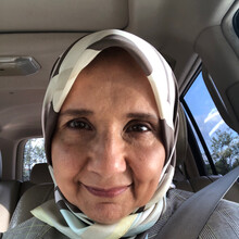 RIMA BAZERBASHI