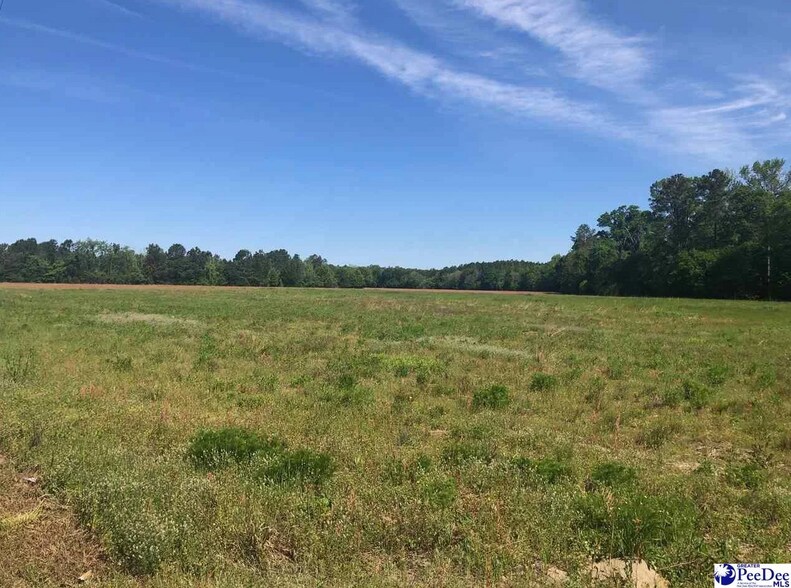 0 W Bobo Newsom hwy, Hartsville, SC à vendre - Photo de l’immeuble – Image 2 sur 7