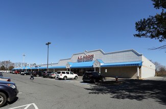 Plus de détails pour 263-299 N Dupont Hwy, Dover, DE - Bureau, Local commercial à louer