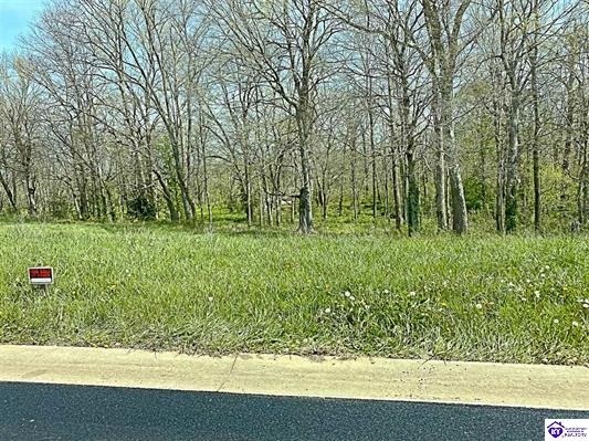 Sawgrass Ave, Vine Grove, KY à vendre - Photo de l’immeuble – Image 3 sur 3