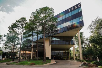 Plus de détails pour Private Office Space, Houston, TX - Bureau à louer
