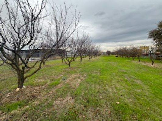 3832 99 Frontage rd, Stockton, CA à louer - Photo de l’immeuble – Image 3 sur 8