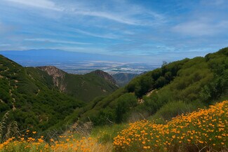 Plus de détails pour Towsley View Loop Trl - 131 Acres – Terrain à vendre, Stevenson Ranch, CA