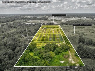 Plus de détails pour 2816 Crystal Springs Rd, Zephyrhills, FL - Spécialisé à vendre