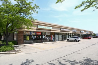 Plus de détails pour 1460-1492 Townline Rd, Mundelein, IL - Local commercial à louer