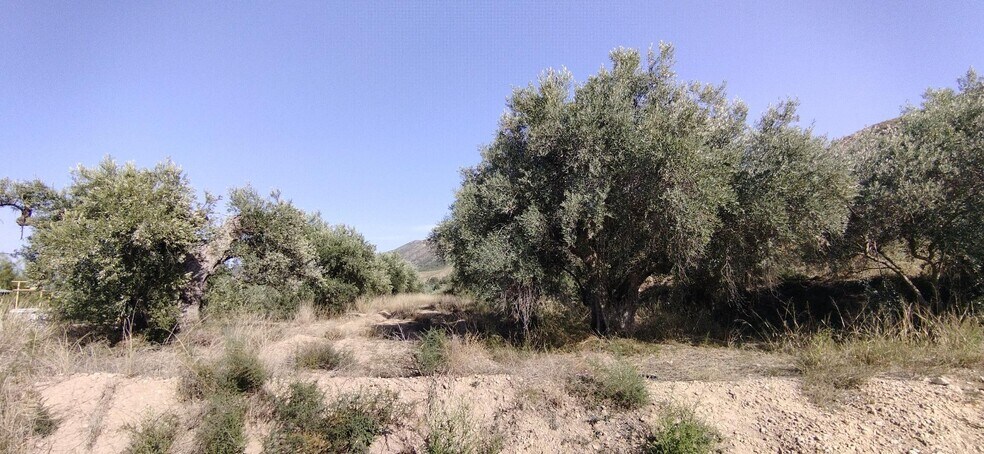Terrain dans Calasparra, Murcia à vendre - Plan de site – Image 2 sur 4