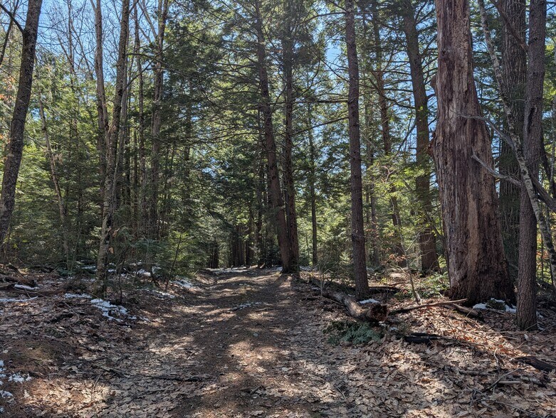 Lot 16 Route 107 Hwy, Barnstead, NH à vendre - Photo de l’immeuble – Image 2 sur 34