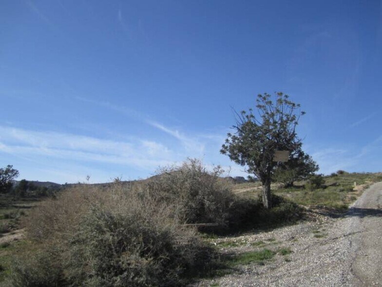 Terrain dans Novelda, Alicante à vendre - Aérien – Image 3 sur 3