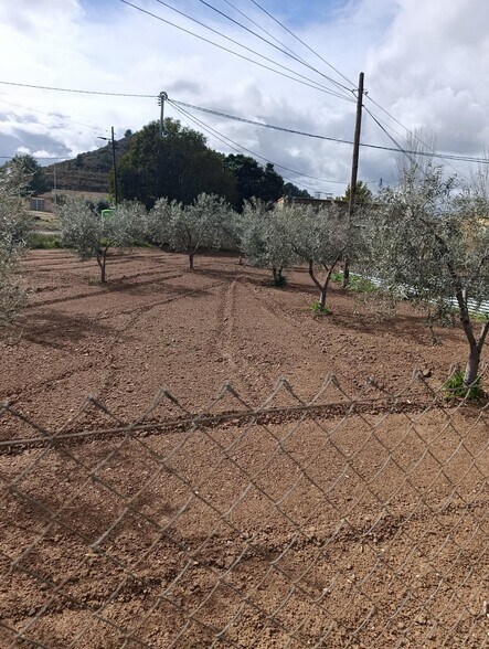 Terrain dans Bullas, Murcia à vendre - Plan de site – Image 3 sur 7