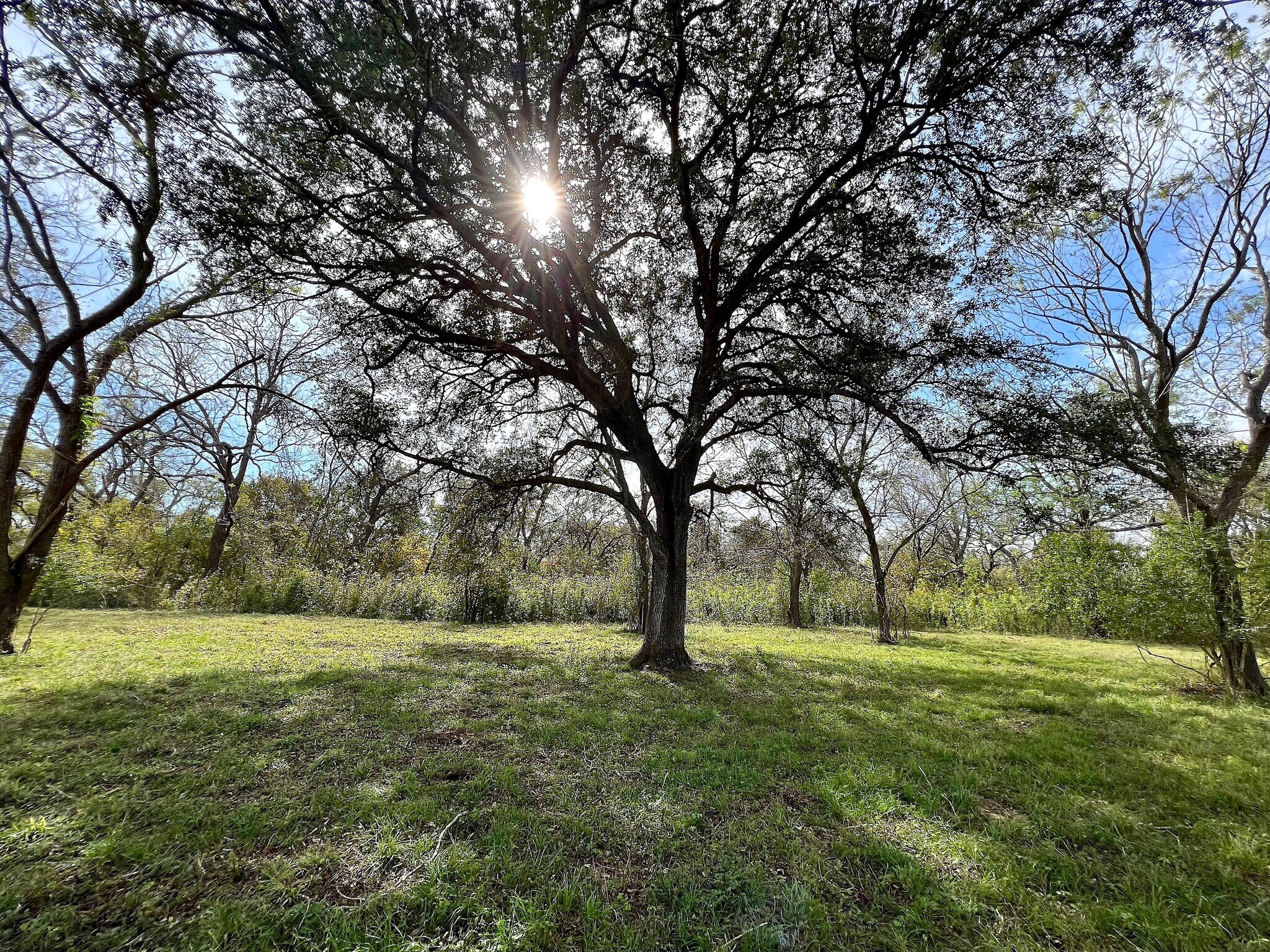 0 Hwy 35, Van Vleck, TX à vendre Photo principale– Image 1 sur 35