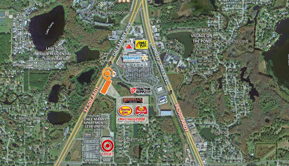 1408 N Dale Mabry Hwy, Lutz, FL à louer - Photo de l’immeuble – Image 3 sur 13