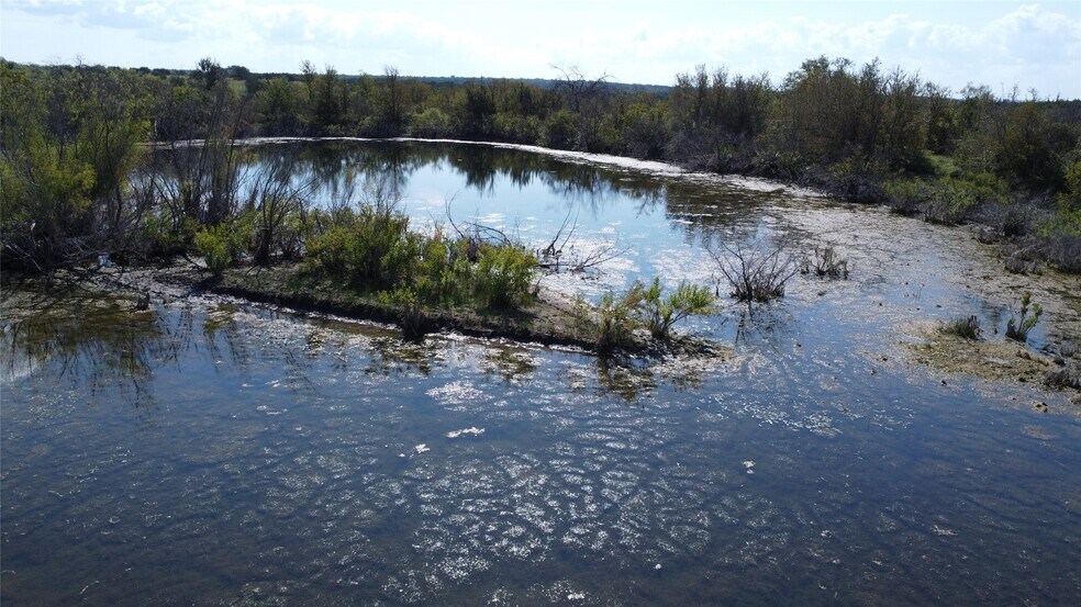 TBD County Road 386, Carlton, TX à vendre - Autre – Image 1 sur 11