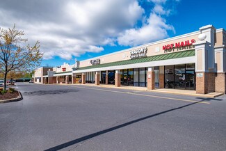 Plus de détails pour 109 Lew Dewitt Blvd, Waynesboro, VA - Local commercial à louer