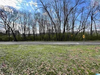 Plus de détails pour 0 Robinson St., Springville, AL - Terrain à vendre