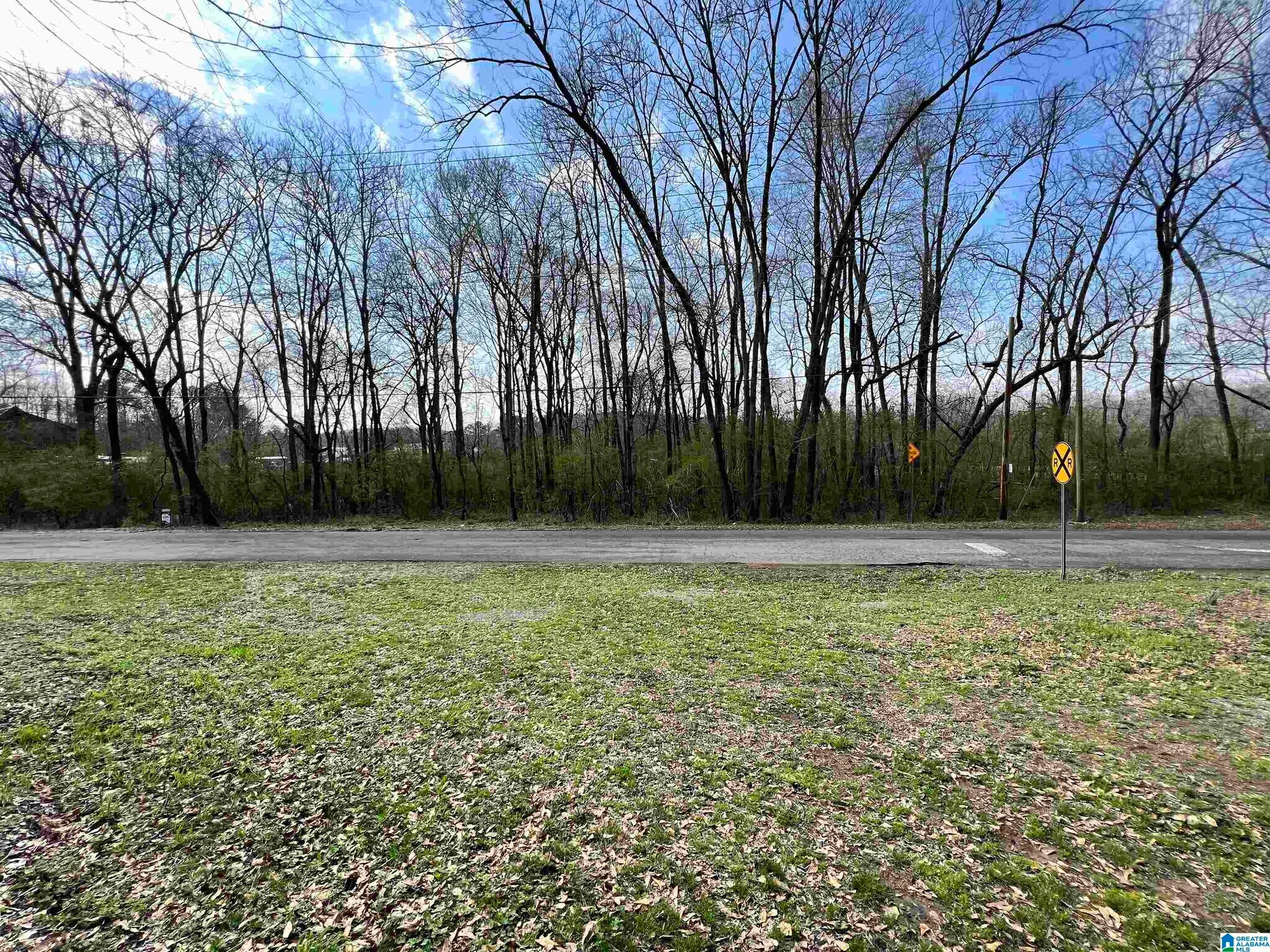 0 Robinson St., Springville, AL à vendre Photo de l’immeuble– Image 1 sur 5