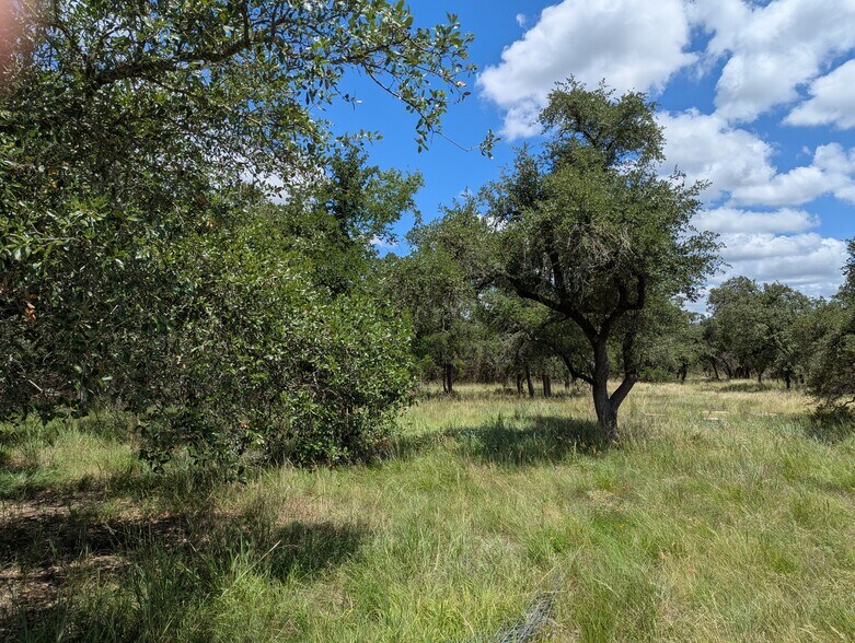 5165 Lone Man Mountain rd, Driftwood, TX à vendre - Photo de l’immeuble – Image 3 sur 9