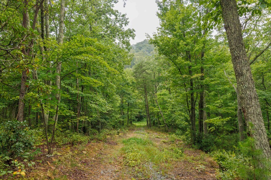 4680 Shiloh Mountain Trl, Schuyler, VA à vendre - Photo de l’immeuble – Image 2 sur 63