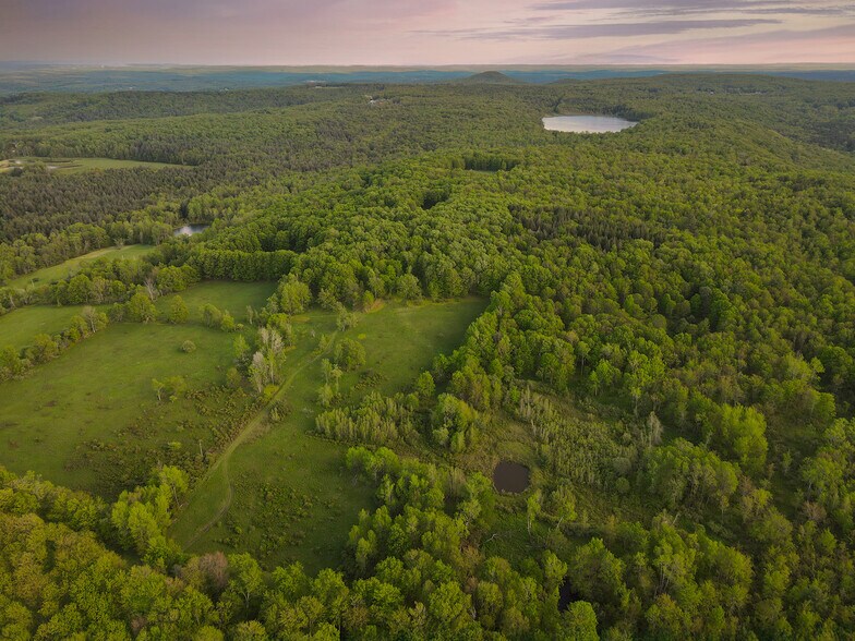 1 Snow Hill Rd, Parksville, NY à vendre - Autre – Image 2 sur 21