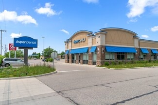 Plus de détails pour 4101 E Blue Grass Rd, Mt Pleasant, MI - Local commercial à vendre