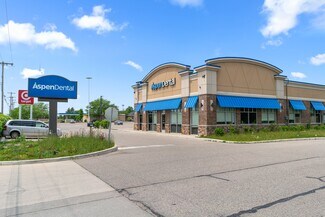 Plus de détails pour 4101 E Blue Grass Rd, Mt Pleasant, MI - Local commercial à vendre