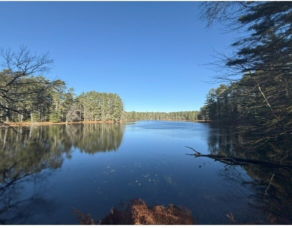 55 Steges Rd, Eldred, NY à vendre - Photo de l’immeuble – Image 3 sur 57