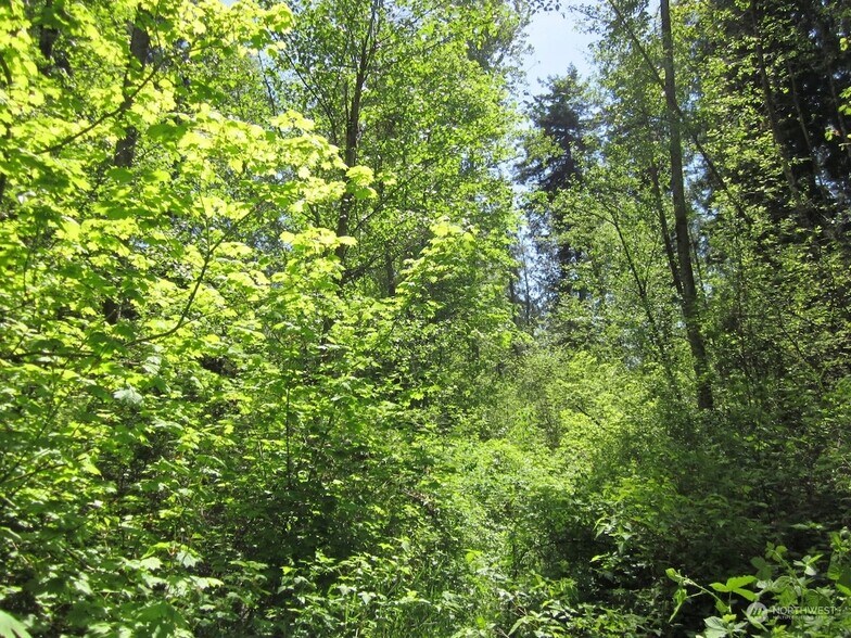 20633 SE 388th St, Enumclaw, WA à vendre - Photo de l’immeuble – Image 2 sur 5