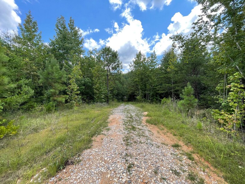 23034 Highway 25, Columbiana, AL à vendre - Photo de l’immeuble – Image 3 sur 13