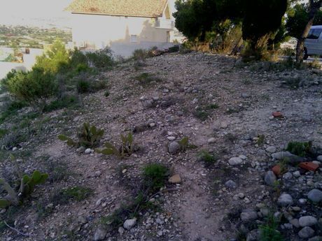 Terrain dans Alguazas, Murcia à vendre - Plan de site – Image 3 sur 9