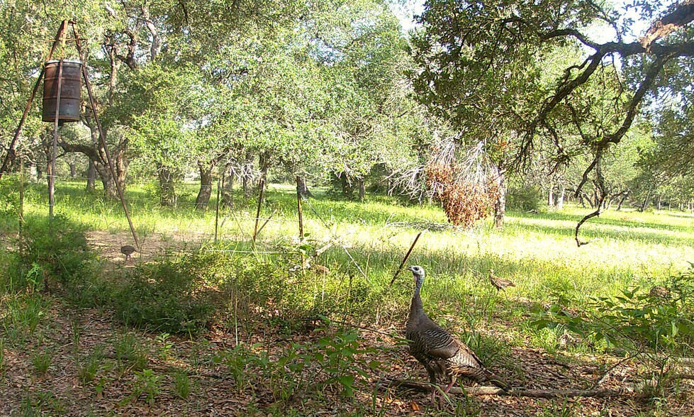 TBD County Road 19, Garwood, TX à vendre - Autre – Image 3 sur 6
