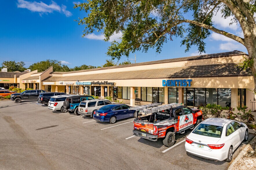 31800-31988 US Highway 19 N, Palm Harbor, FL à louer - Photo de l’immeuble – Image 3 sur 28