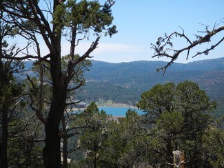 Plus de détails pour 502 Excalibur Rd, Ruidoso, NM - Terrain à vendre