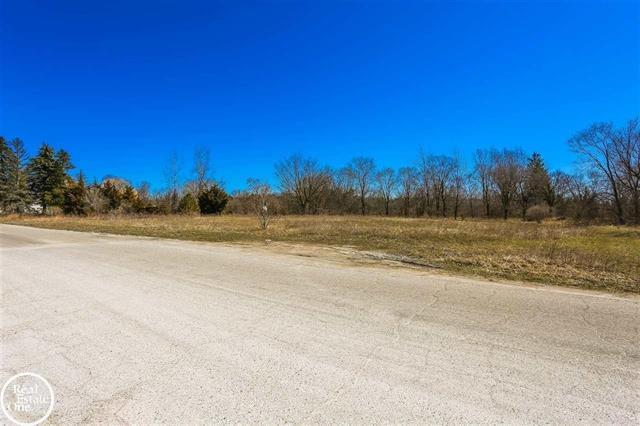 Meadowlawn Dr, Fort Gratiot Township, MI à vendre - Photo principale – Image 2 sur 5