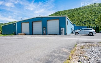 Plus de détails pour 6080 State Route 14, Trout Run, PA - Industriel/Logistique à vendre