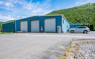 Plus de détails pour 6080 State Route 14, Trout Run, PA - Industriel/Logistique à louer