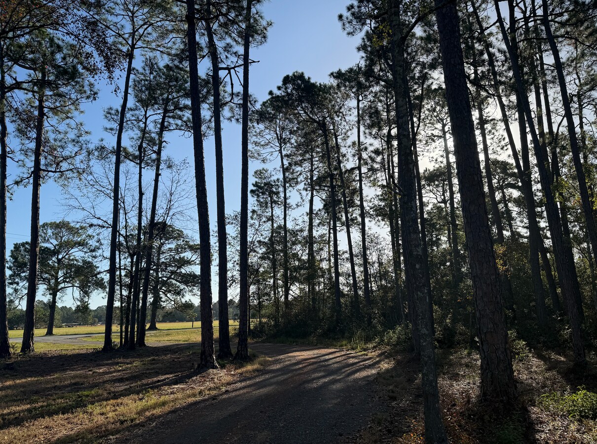 View Photo